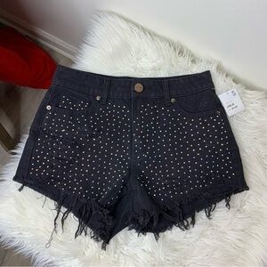 Litz by Uniq Black Color Studded Shorts